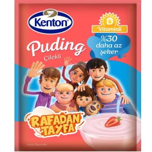 Kenton Strawberry Pudding with Vitamin 100gx24 St